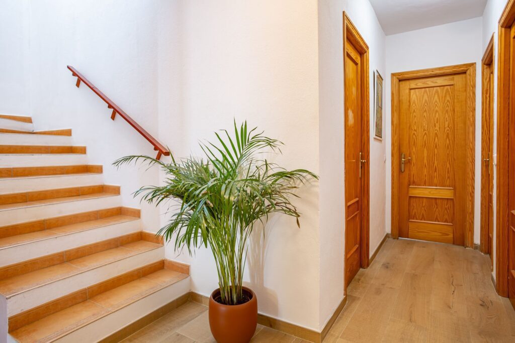 Ibizarentsommer-Villa feliz39