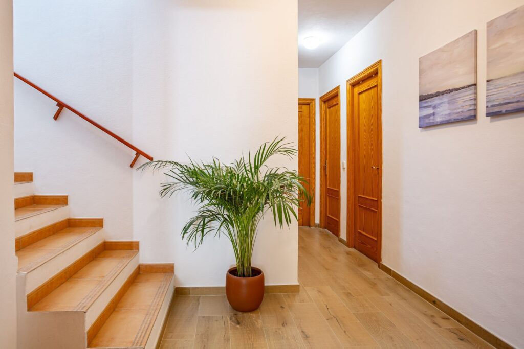 Ibizarentsommer-Villa feliz40